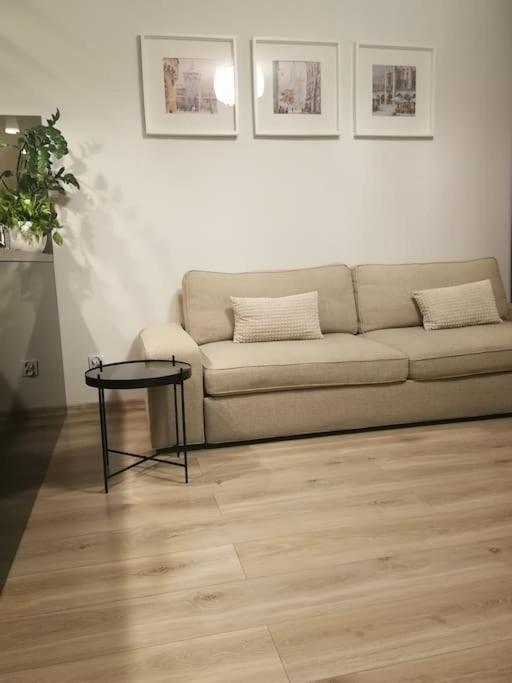 クラクフUroczy, Jasny Apartament Oraz Bezplatny Parking!アパートメント エクステリア 写真